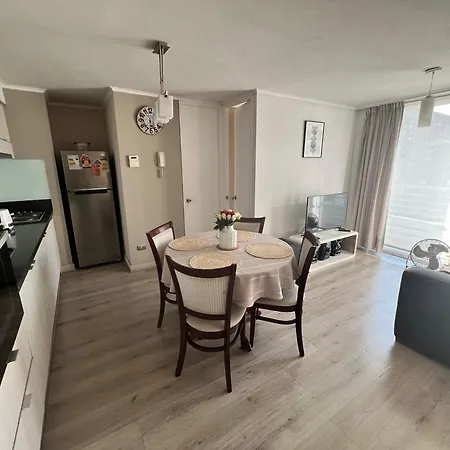 Acogedor Apartamento En Centro De Santiago.